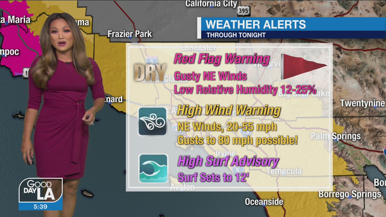 Weather Forecast for Tuesday, January 19