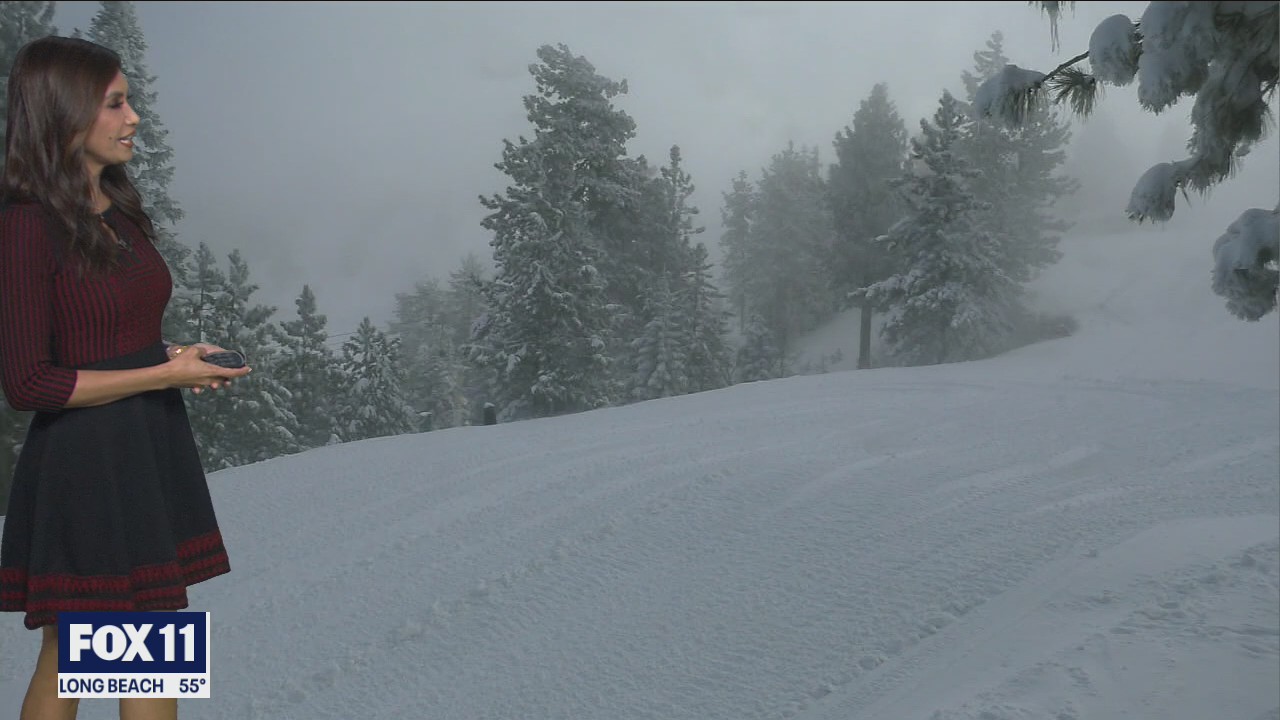 Weather Forecast for Tuesday, January 26