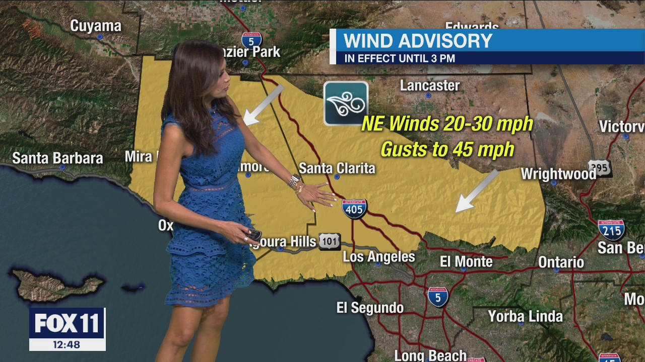 Weather Forecast for Thursday, Feb. 4