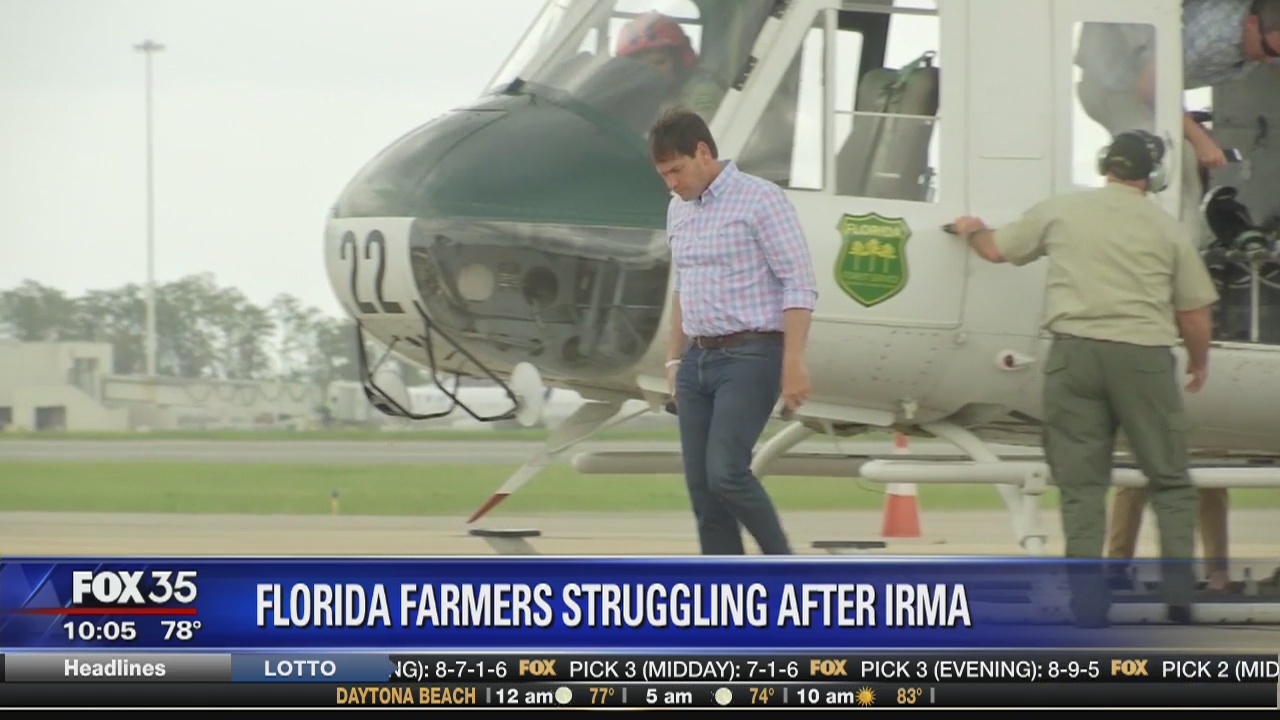 Marco Rubio surveys Irma damage