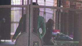 Private school teachers offered vaccine ahead of schedule