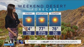 Weekend desert forecast for Feb. 19 - 21