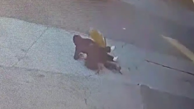 Rolex robberies: Beverly Hills shooting latest in string of jewelry thefts, violence