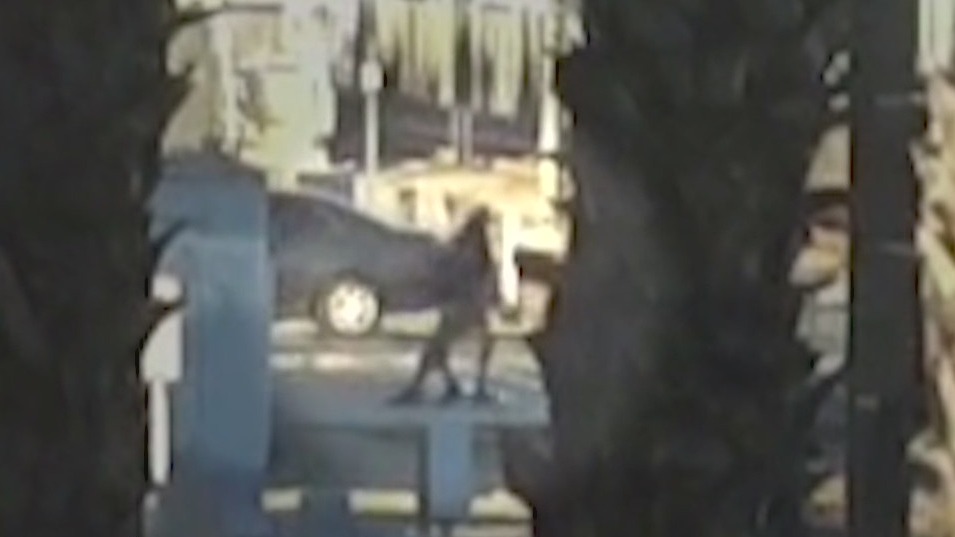 Prosecutor accuses Gasc?n of retaliation for dropping felony case against protesters