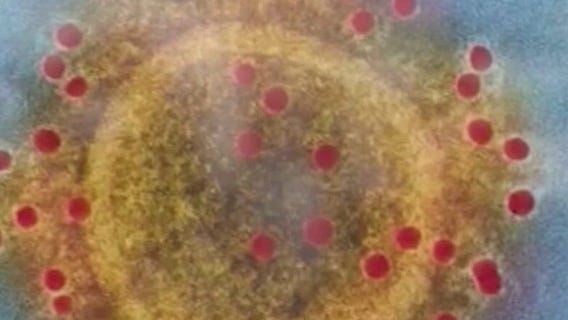 UK COVID variant case confirmed in Pasadena