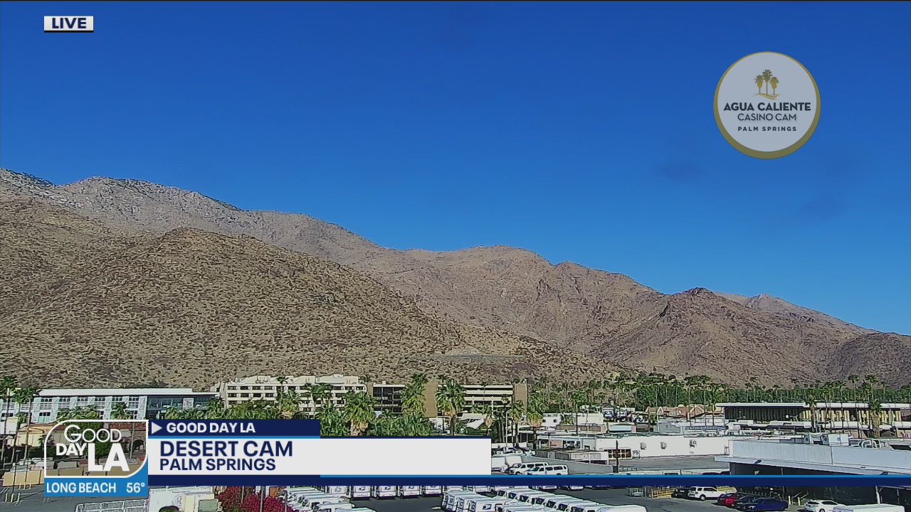 After Losing His Legs Being Hit By A Drunk Driver, Obi Ndefo Survives, Thrives and Inspires