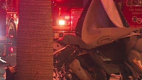 3 young men killed in South Los Angeles crash
