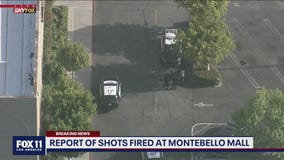 Heavy police presence reported in Montebello