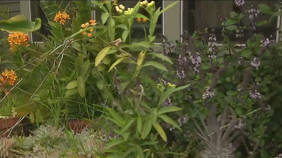 Celebrating Earth Day in Venice