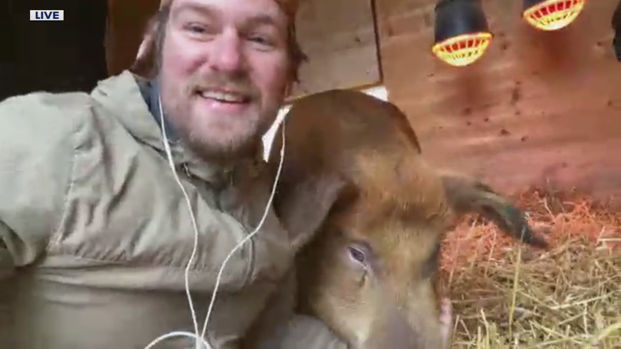 Friday Farm Field Trip to the Barn Sanctuary