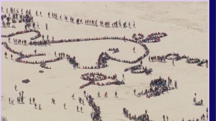 A new look for Kids Ocean Day