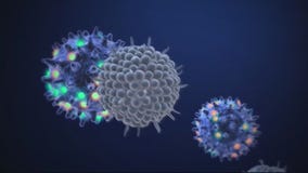 Covid vaccine distribution in Michigan starting soon