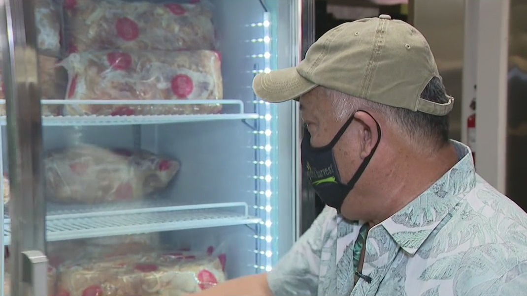 World Harvest founder discusses serving community, offering fresh produce