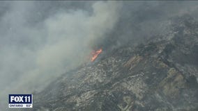Mandatory evacuations ordered as Palisades brush fire continues to grow