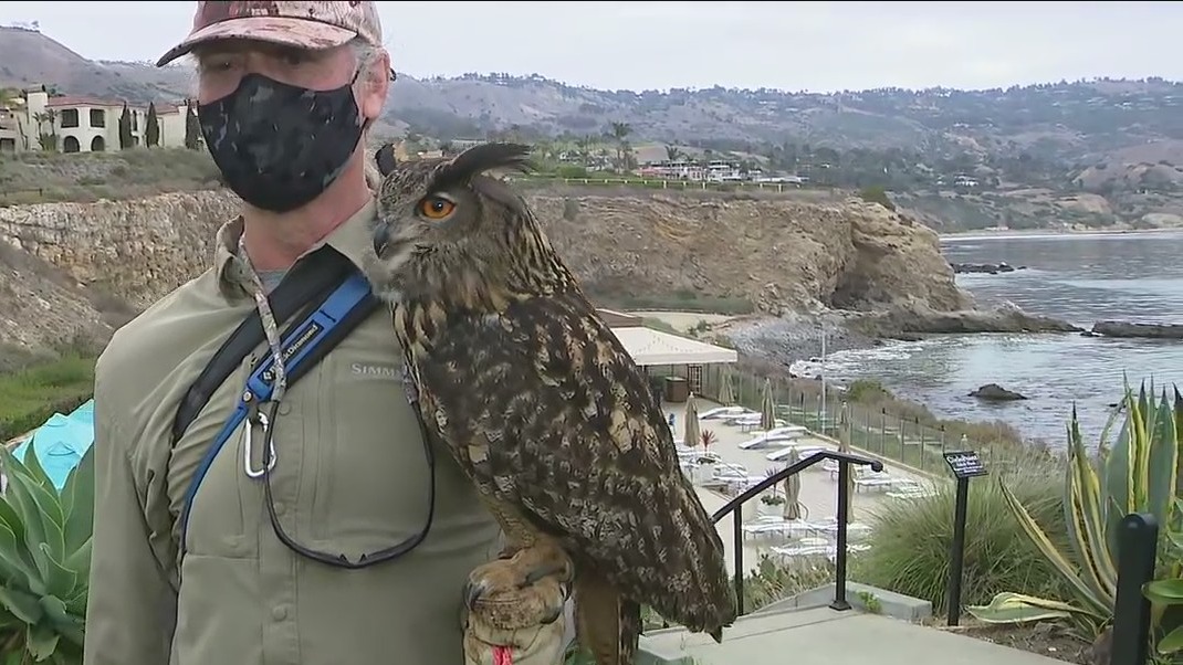 Rediscover Terranea Resort part 1