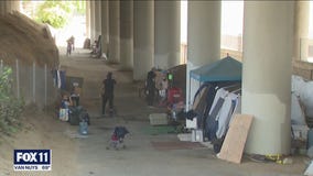 Tiny homes protest in Arcadia