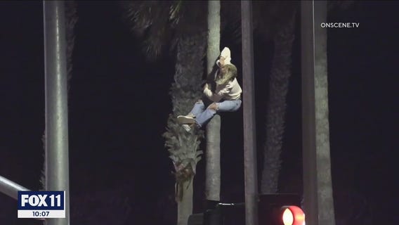 Nearly 150 arrested after massive Huntington Beach social media gathering