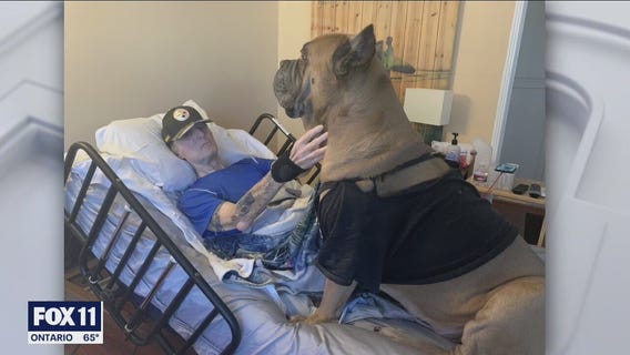 Longtime LA radio host recovers from COVID-19 with beloved 'Tank' by his side