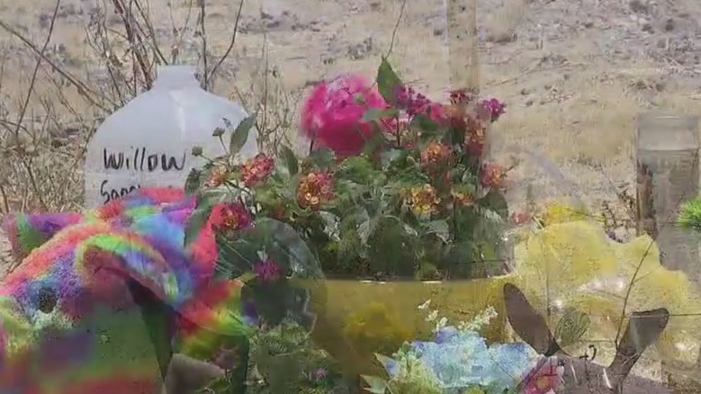 Search for suspect underway after hit and run kills 3 girls, left another for dead