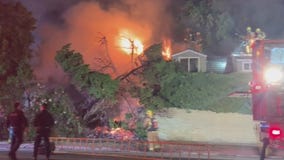 Deadly Hancock Park crash under investigation