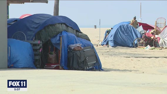 Venice Beach homeless encampment cleanup