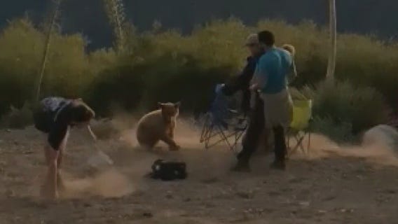 Video shows tense encounter between bear, group of men celebrating July 4 on Mount Wilson