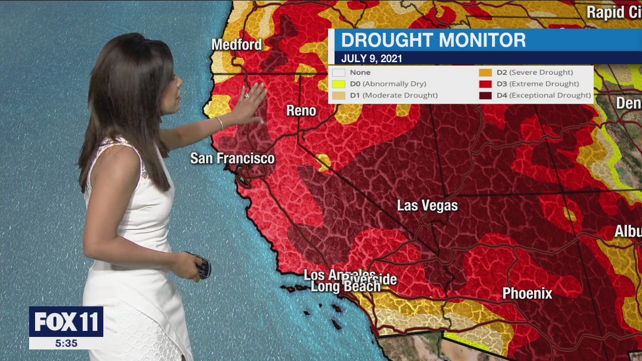 Weather Forecast: Friday, July 9