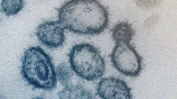 LA County just hours from reinstating indoor mask mandate