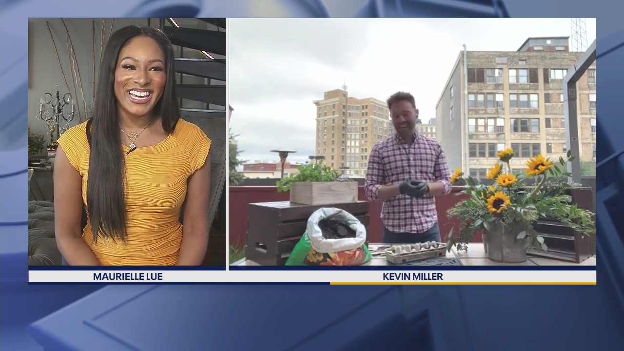 Maurielle is back gets a sunflower lesson from Kevin Miller, owner of Twigs and Branches Floral