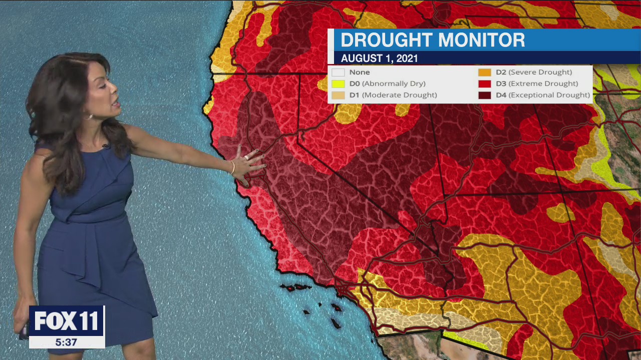 Weather Forecast: Sunday, August 1