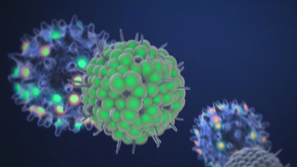 What you need to know about the Covid Lambda variant