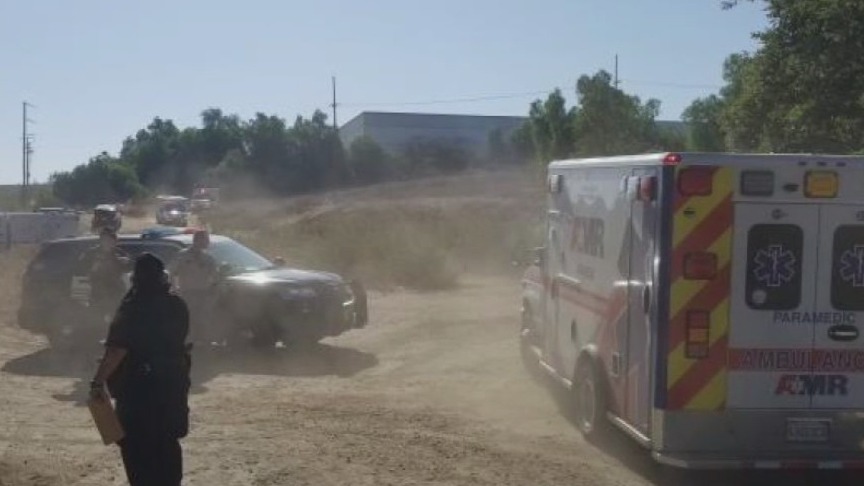 Four people sent to hospital after family dog attacks owner, friends