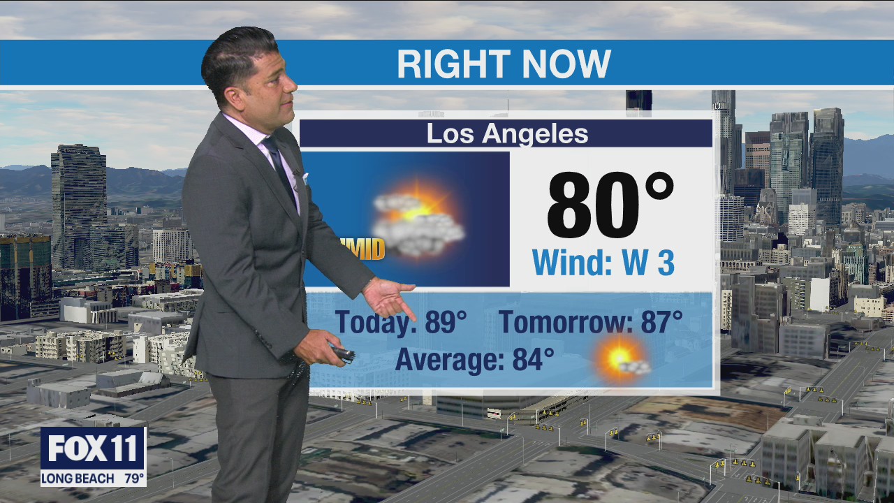 Weather Forecast: Wednesday, August 11