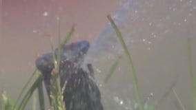 SoCal water district declares water supply alert as drought worsens