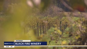 Black Fire Winery