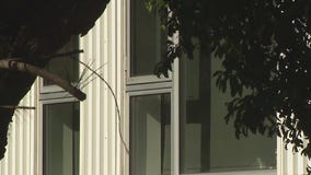 LAPD searching for Westwood bed intruder