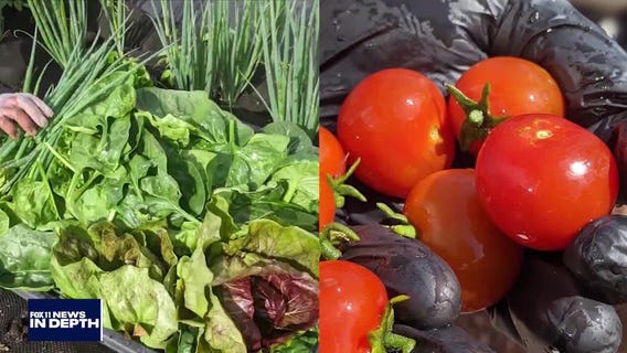 In Depth: Fighting food insecurity in LA