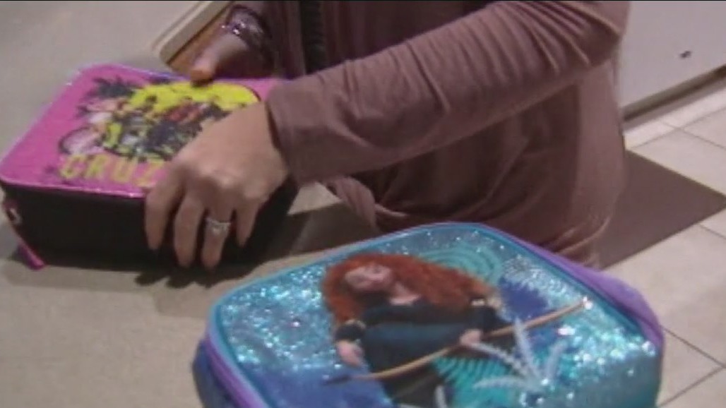 Possible dangers lurking in your child's school lunchbox