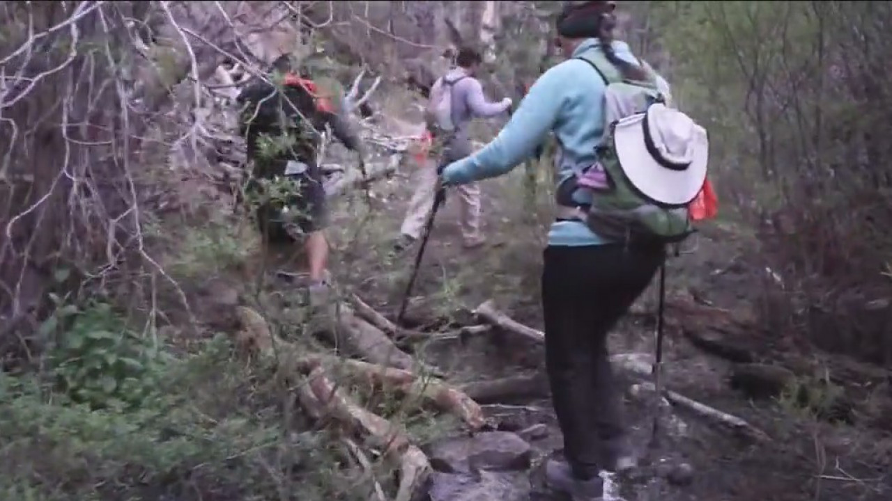 Helping 'Make-A-Wish' kids one step at a time