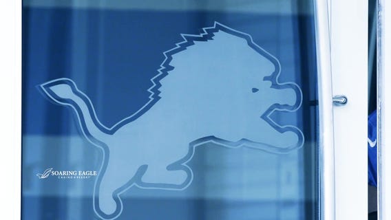 Inside the Lions Den