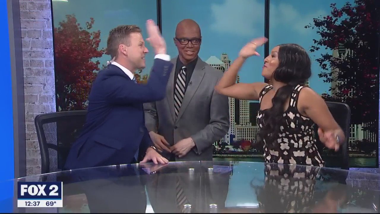 What is the dark forest theory?