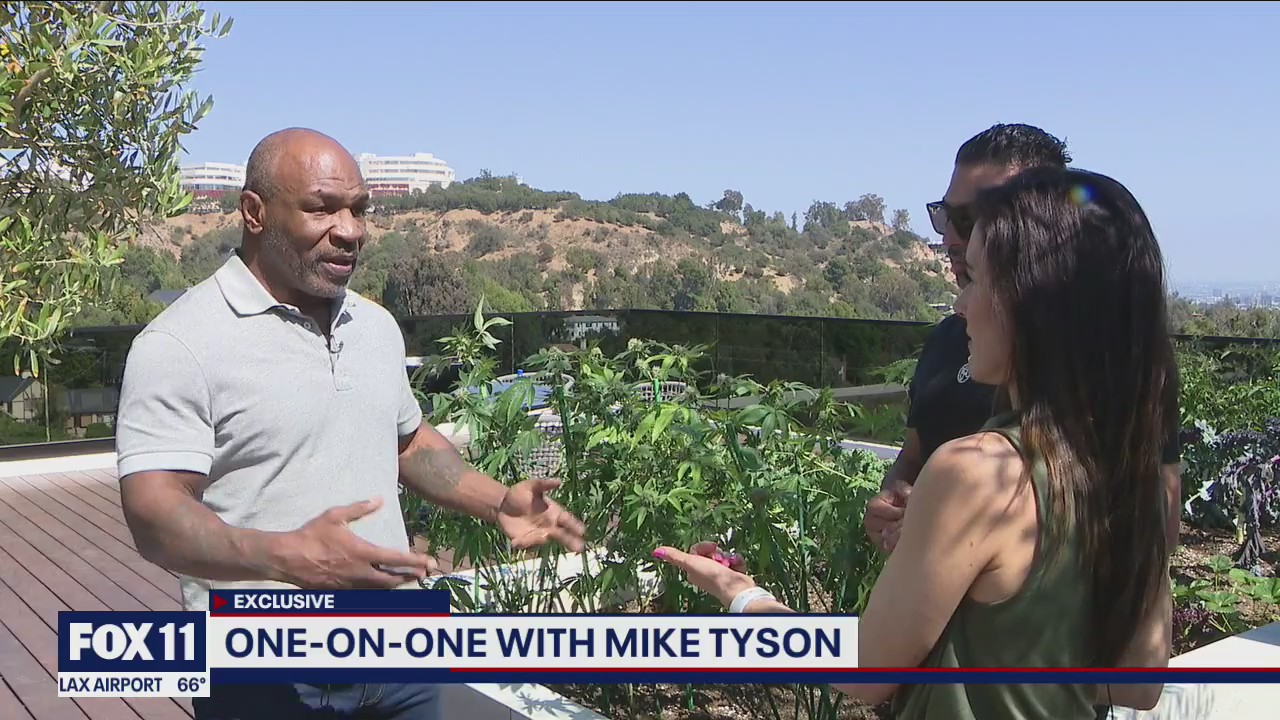 Mike Tyson speaks on launching cannabis company 'Tyson Ranch'
