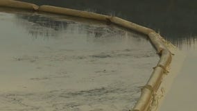 Massive oil spill: Cleanup efforts continue in Huntington Beach