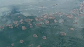 Huntington Beach latest: 126,000 gallons of oil spill into ocean