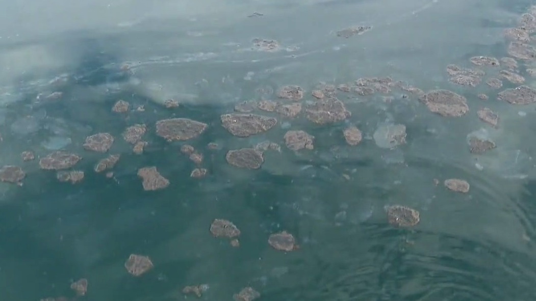 Huntington Beach latest: 126,000 gallons of oil spill into ocean