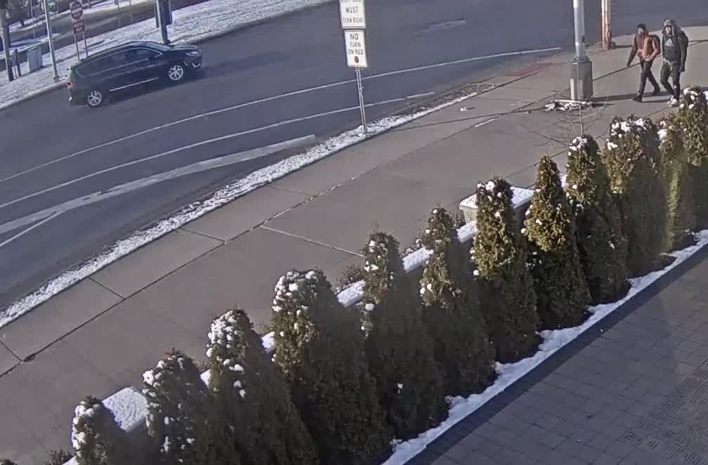 Police seek two carjacking suspects in northwest Detroit | FOX 2 Detroit