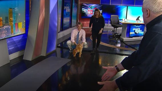 SportsWorks - 2-5-23 -- Hammer talking college hoops & Pistons with Tim Mccormick, Wings & NFL with Wojo & Burchie