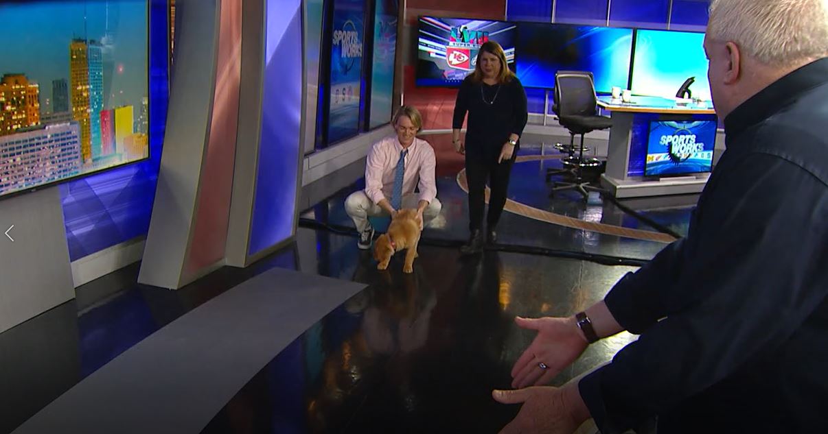 SportsWorks - 2-5-23 -- Hammer talking college hoops & Pistons with Tim Mccormick, Wings & NFL with Wojo & Burchie