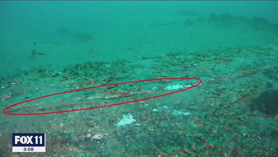 Coast Guard: 588 barrels of oil have leaked