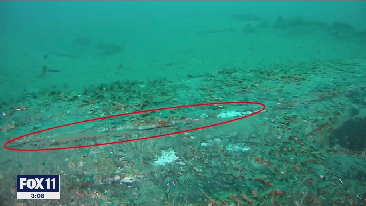 Coast Guard: 588 barrels of oil have leaked